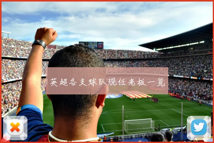 英超各支球队现任老板一览