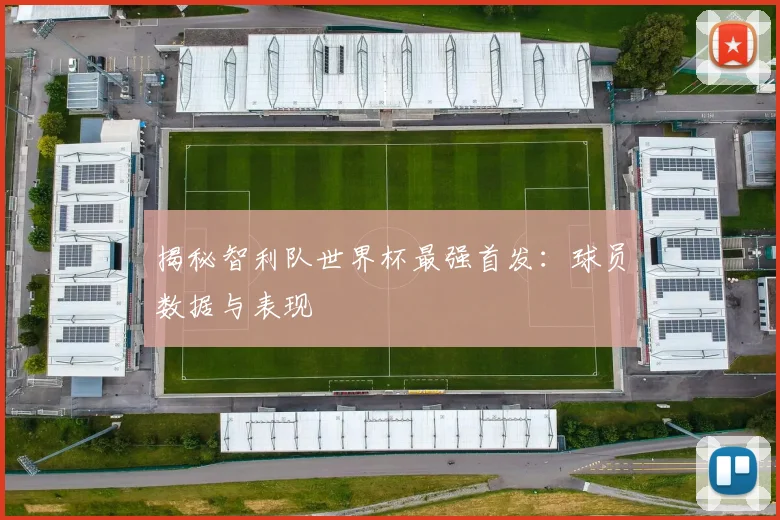 揭秘智利队世界杯最强首发：球员数据与表现
