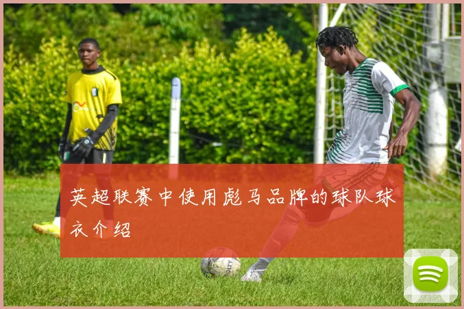 英超联赛中使用彪马品牌的球队球衣介绍