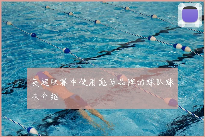 英超联赛中使用彪马品牌的球队球衣介绍
